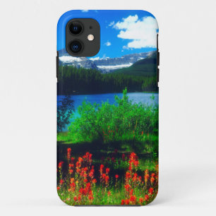 title_seo2 Flores silvestres de pincel indio