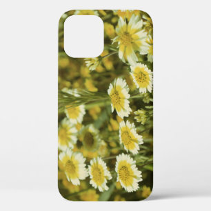 Funda Para iPhone 12 Flores silvestres girasoles amarillos y blancos