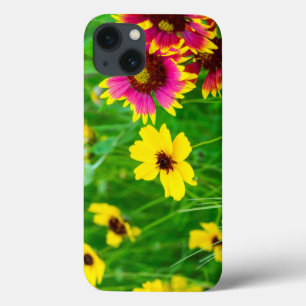 title_seo2 Flores silvestres praderas en Hill Country