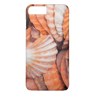 Funda Para iPhone 8 Plus/7 Plus Florida Keys, Key West, conchas marinas