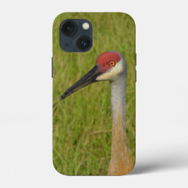 Funda Para iPhone 13 Mini Florida Sandhilll Crane Fotografía de vida silvest