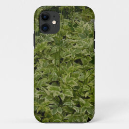 Funda Para iPhone 11 Foliage