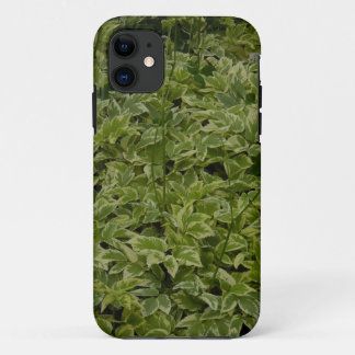 Funda Para iPhone 11 Foliage