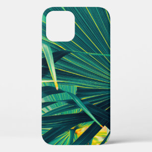 Funda Para iPhone 12 Fondo de textura de hojas de palma tropical, a ray