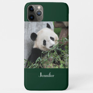 Funda Para iPhone 11 Pro Max Fondo verde de Panda gigante, nombre, 