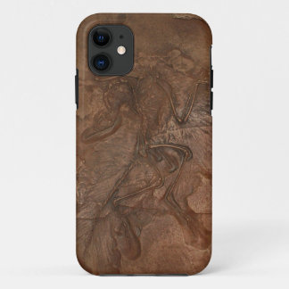 Funda Para iPhone 11 Fósil del Archaeopteryx - casamata