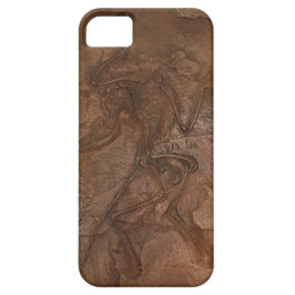 Funda Para iPhone 11 Fósil del Archaeopteryx - casamata