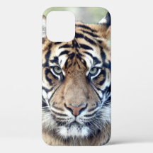 Foto , animales , tigre . Funda-Mate iPhon