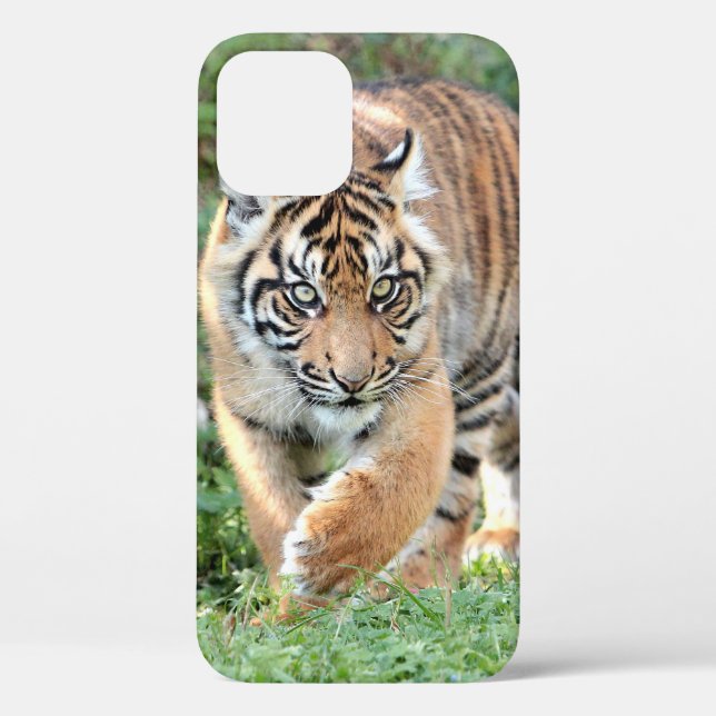 Funda De Case-Mate Para iPhone Foto , animales , tigre . Funda-Mate iPhon (Reverso )