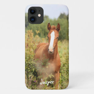Funda Para iPhone 11 Foto de caballo ecuestre personalizado