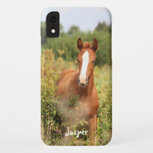 Funda Para iPhone XR Foto de caballo ecuestre personalizado