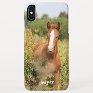 Funda Para iPhone XS Max Foto de caballo ecuestre personalizado
