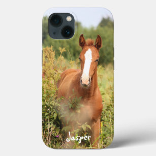 Funda Para iPhone 13 Foto de caballo ecuestre personalizado