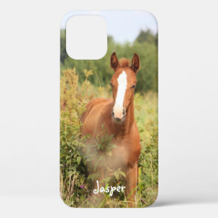 Funda Para iPhone 12 Foto de caballo ecuestre personalizado