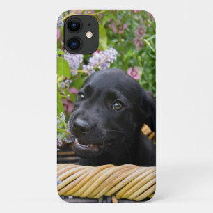 Funda Para iPhone 11 Foto de cachorro de perro recuperador de labrador