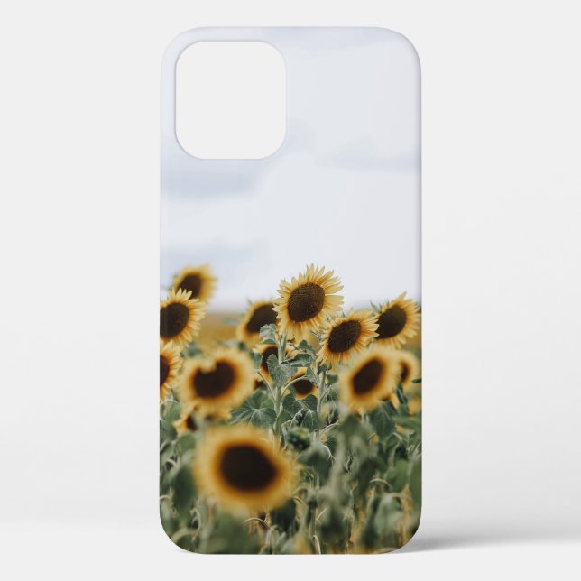 FUNDA DE Case-Mate PARA iPhone FOTO DE CERRADOR DE SUNFLOWERS (Reverso )
