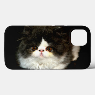 Funda Para iPhone 13 Foto de gatito negro blanco lindo