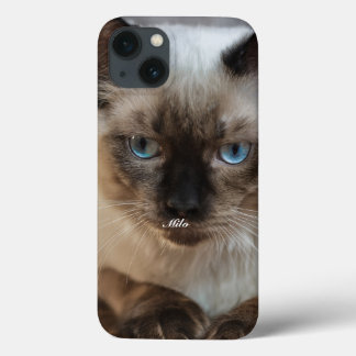 Funda Para iPhone 13 Foto de gato Ragdoll personalizada con nombre
