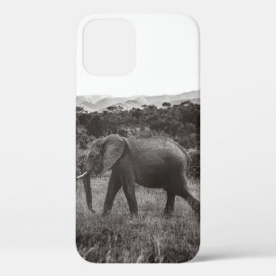 FUNDA PARA iPhone 12 FOTO DE GRAYSCALE DE ELEFANTE GRIS CERCA DE ÁRBOL