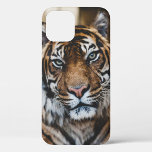 FUNDA PARA iPhone 12 FOTO DE LA CARA DE TIGER