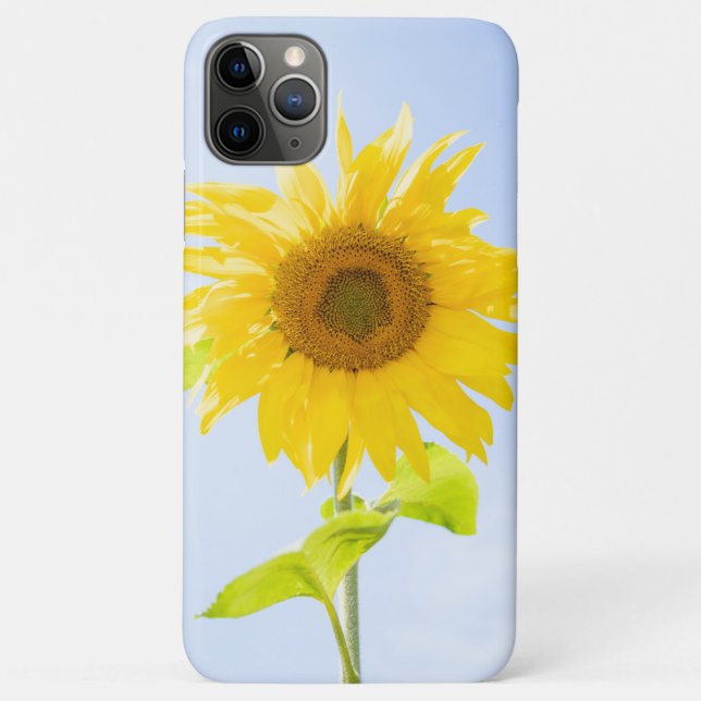Funda De Case-Mate Para iPhone Foto de la naturaleza del girasol (Reverso)
