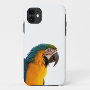 Funda Para iPhone 11 Foto de loro guacamayo