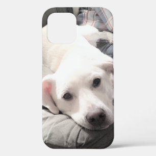 Funda Para iPhone 12 Foto de perro blanco lindo colgando con papá