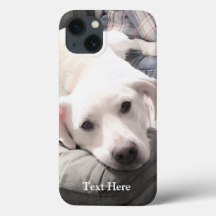 Funda Para iPhone 13 Foto de perro mezclador de Labrador blanco lindo