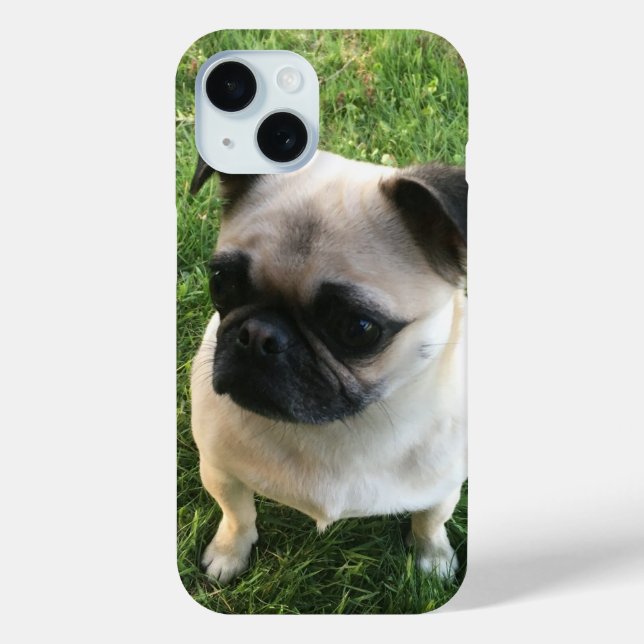 Funda De Case-Mate Para iPhone Foto de Pug Pup (Reverso )