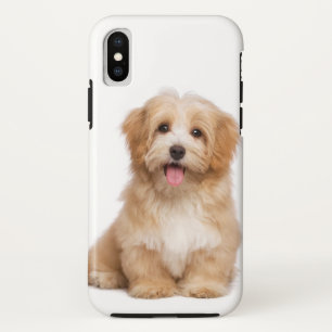 Funda Para iPhone X Foto de su Mascota Perro familiar