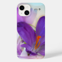Foto de un crocus de Primavera Púrpura de Bonito