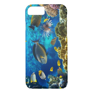 title_seo2 Foto de un pescado tropical en un arrecife de