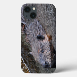 Funda Para iPhone 13 Foto de vida salvaje de Cute Natating Wild Beaver