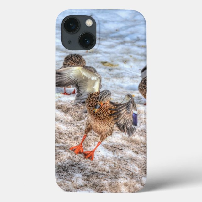 Funda De Case-Mate Para iPhone Foto de vida silvestre del pato de Mallard (Reverso)
