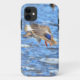 Funda Para iPhone 11 Foto de vida silvestre del pato de Mallard