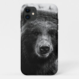 title_seo2 Foto hermosa del oso grizzly