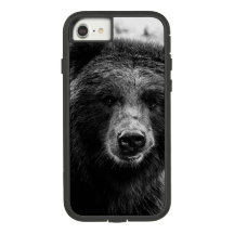 Foto hermosa del oso grizzly