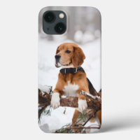 Foto Mascota personalizada personalizado