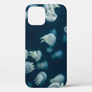 FUNDA PARA iPhone 12 FOTOGRAFÍA CERRADA DE JELLYFISH