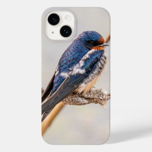Funda Para iPhone 14 De Case-Mate Fotografía de aves azules en barbecho, canadiense