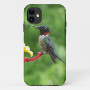 Funda Para iPhone 11 Fotografía de aves de colibrí de garganta rubí