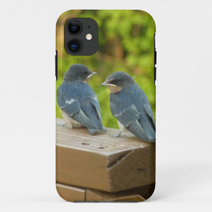 Funda Para iPhone 11 Fotografía de aves de la naturaleza golondrinas de