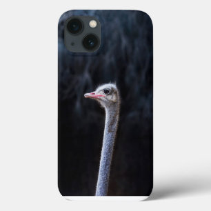 Funda Para iPhone 13 Fotografía de avestruz