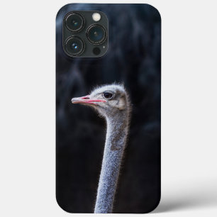 Funda Para iPhone 13 Pro Max Fotografía de avestruz