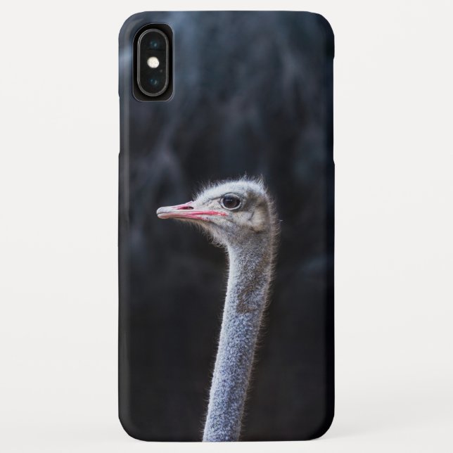 Funda De Case-Mate Para iPhone Fotografía de avestruz (Reverso)