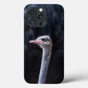 Funda Para iPhone 13 Pro Fotografía de avestruz