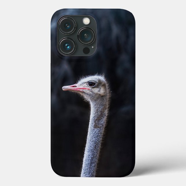 Funda De Case-Mate Para iPhone Fotografía de avestruz (Reverso )