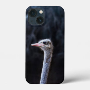 Funda Para iPhone 13 Mini Fotografía de avestruz