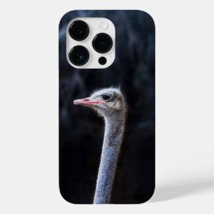 Funda Para iPhone 14 Pro De Case-Mate Fotografía de avestruz
