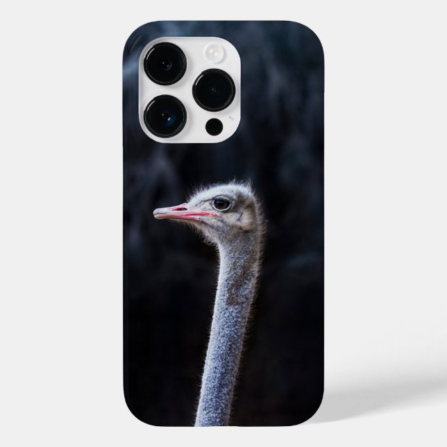 Funda De Case-Mate Para iPhone Fotografía de avestruz (Reverso )